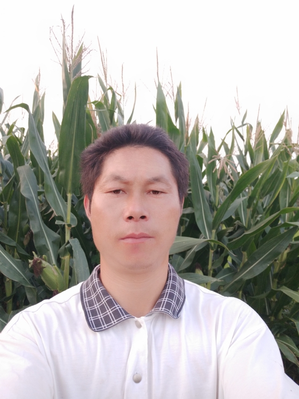 四海游龙的第一张照片--襄阳王婆说媒